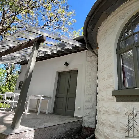 100 Eves Haz * بالاتوناكاراتيا